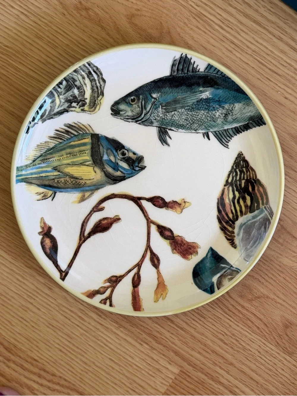 Williams Sonoma 2012 Poisson Marc Lacaze 4 fish plates + original box (Crazing)